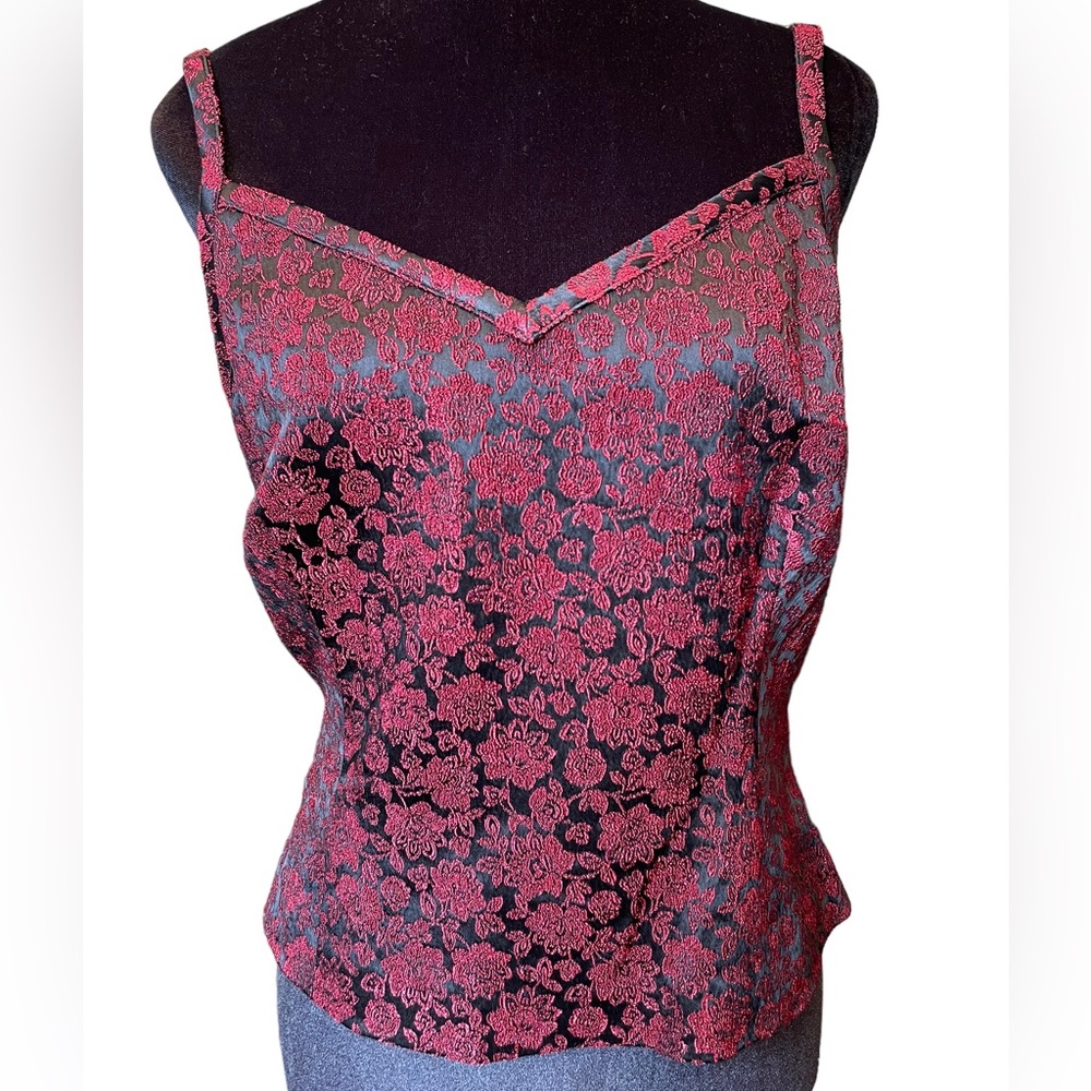 DD Collection Vintage 90s Red Black Whimsygoth Witchy Vampy Cropped Floral Top